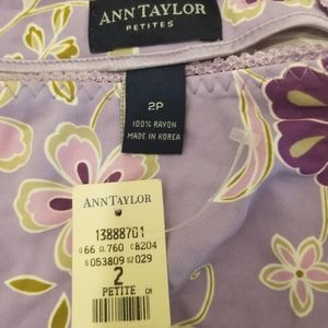 Ann Taylor skirt - Stunning